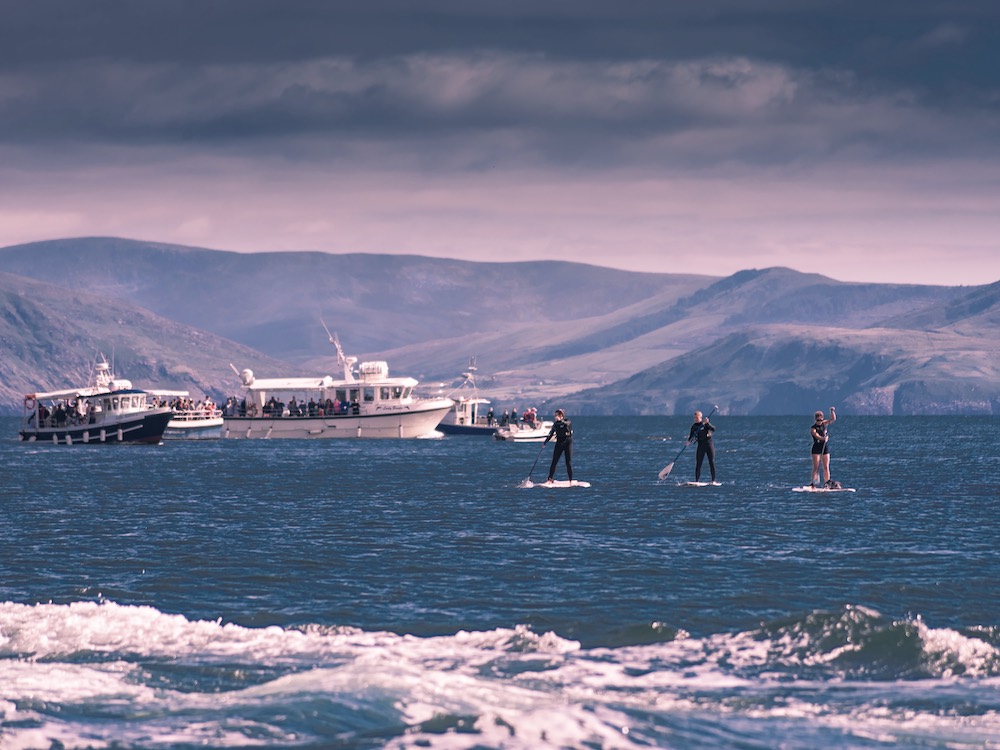 people and boats on the sea in dingle